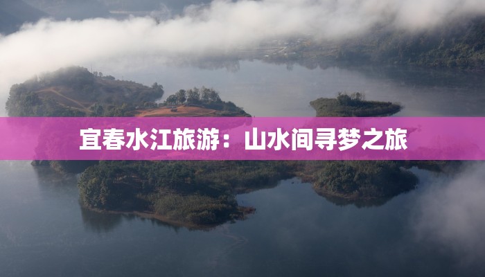 台商疫情来源最新：揭秘背后的真相与启示