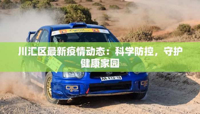 川汇区最新疫情动态：科学防控，守护健康家园