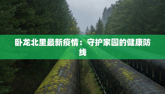 卧龙北里最新疫情：守护家园的健康防线