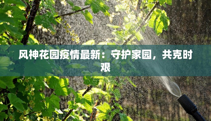风神花园疫情最新：守护家园，共克时艰