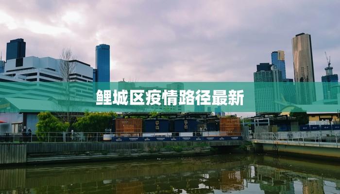 鲤城区疫情路径最新