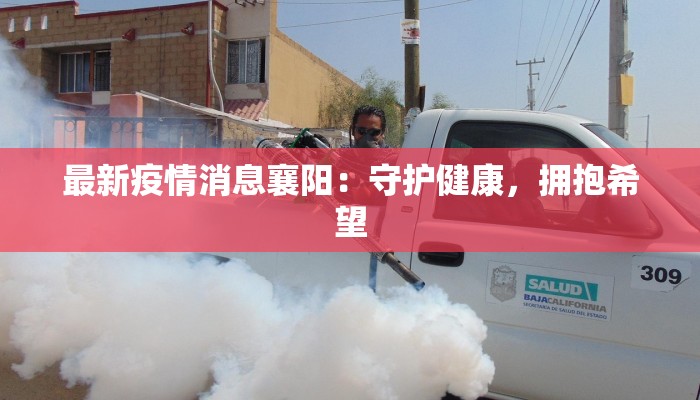 最新疫情消息襄阳：守护健康，拥抱希望