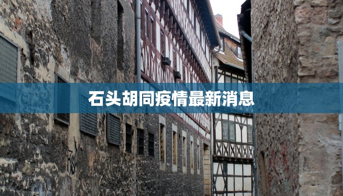 石头胡同疫情最新消息