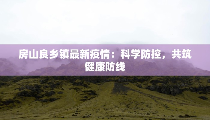 房山良乡镇最新疫情：科学防控，共筑健康防线