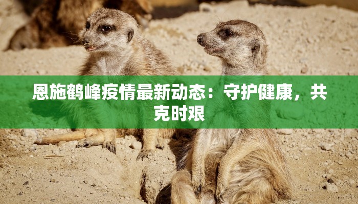 疫情最新动态云南疫情