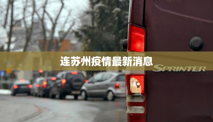 闵行区塘湾村最新疫情：守护家园，科学防控，共筑健康防线