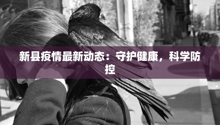新县疫情最新动态：守护健康，科学防控