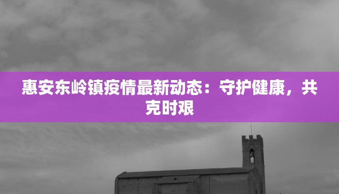 浦东学林路疫情最新：守护家园，共克时艰