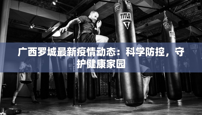 广西罗城最新疫情动态：科学防控，守护健康家园