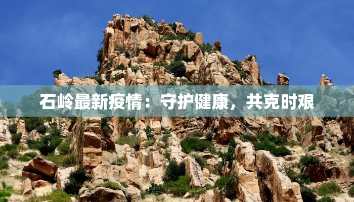 石岭最新疫情：守护健康，共克时艰