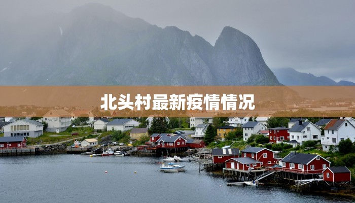 北头村最新疫情情况 北头村最新疫情情况
