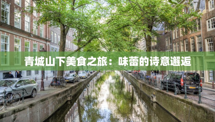 青城山下美食之旅：味蕾的诗意邂逅