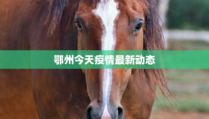 鄂州今天疫情最新动态 鄂州今天疫情最新动态