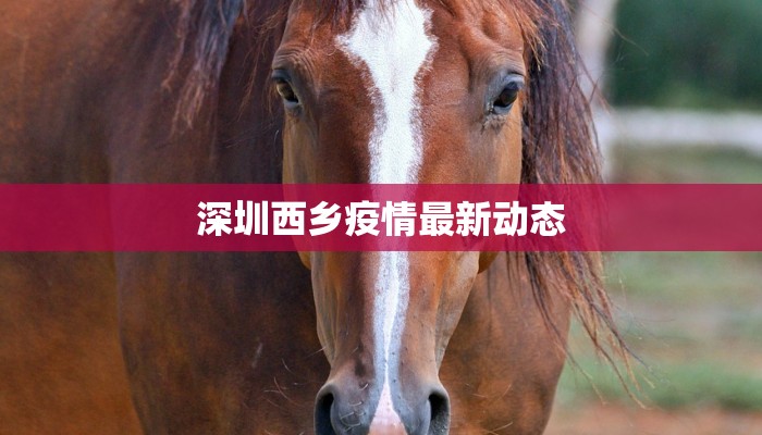 深圳西乡疫情最新动态 深圳西乡疫情最新动态