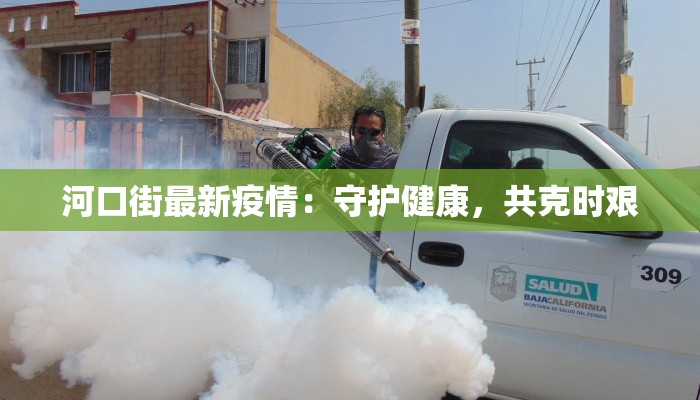 河口街最新疫情:守护健康,共克时艰 河口街最新疫情:守护健康,共克时艰