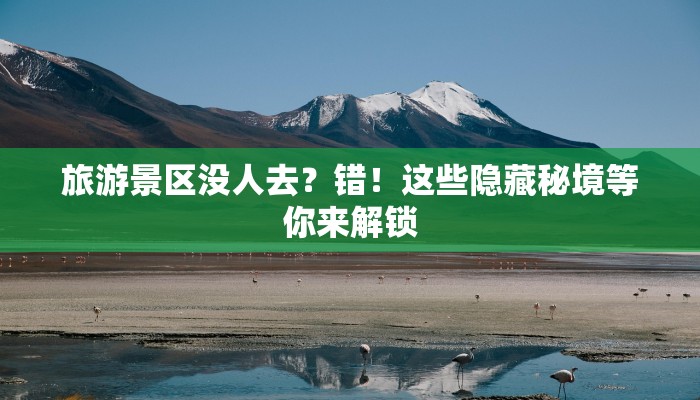深圳疫情情况最新:科学防控下的城市韧性与新生 深圳疫情情况最新:科学防控下的城市韧性与新生