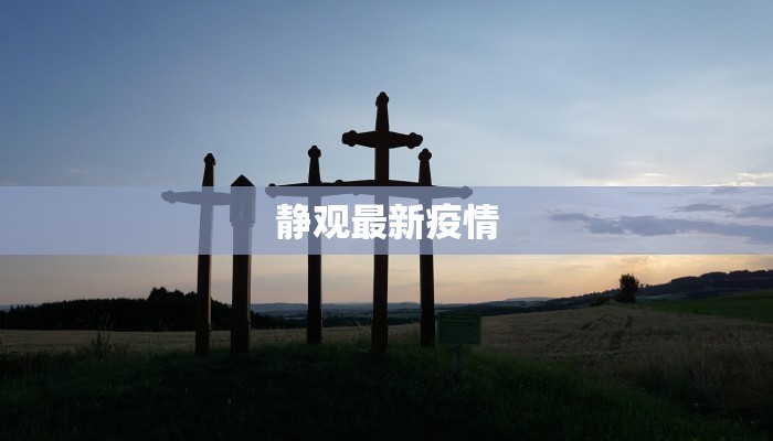 静观最新疫情 静观最新疫情