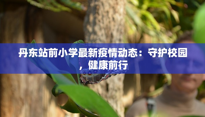 东莞刚刚最新疫情:科学防控,守护健康生活 东莞刚刚最新疫情:科学防控,守护健康生活