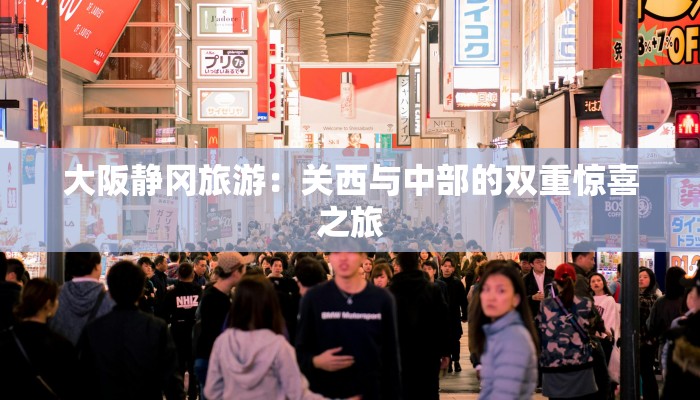 大阪静冈旅游：关西与中部的双重惊喜之旅
