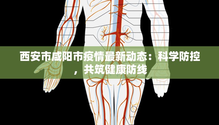 西安市咸阳市疫情最新动态：科学防控，共筑健康防线