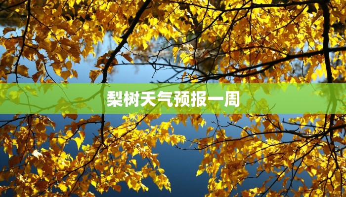 梨树天气预报一周
