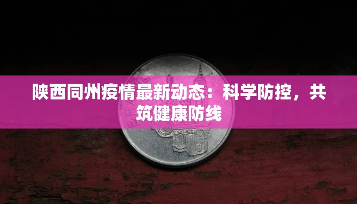 顺丰快递宠物流程详解：让您的毛孩旅途安心无忧