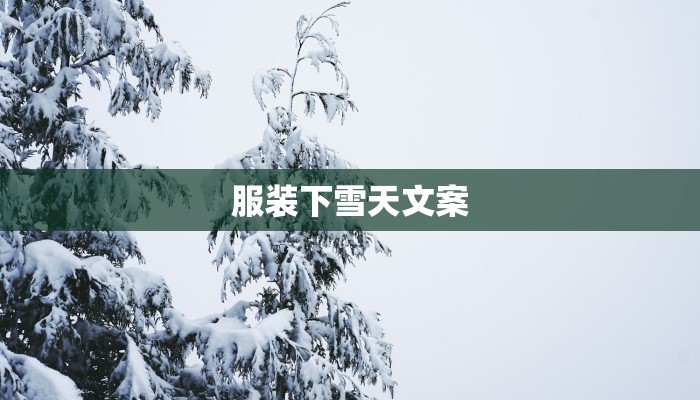 服装下雪天文案