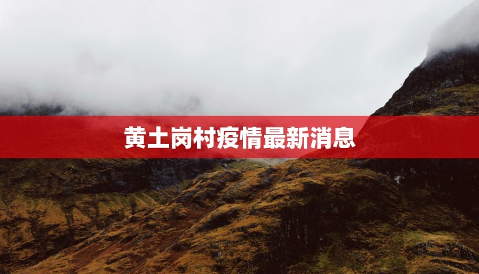 山东防疫情况滨州最新