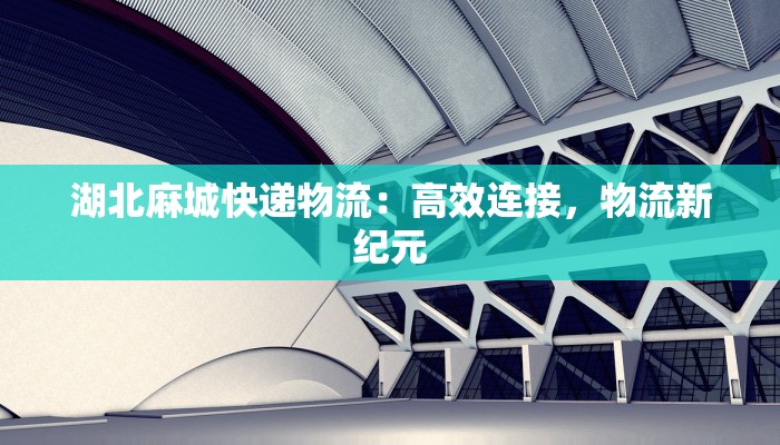 湖北麻城快递物流：高效连接，物流新纪元