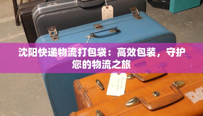 河南郑州市天气预报：探秘中原天气的魅力与智慧