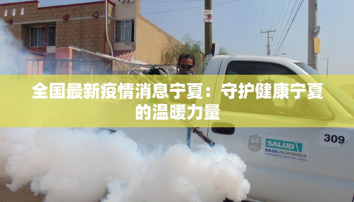 全国最新疫情消息宁夏：守护健康宁夏的温暖力量