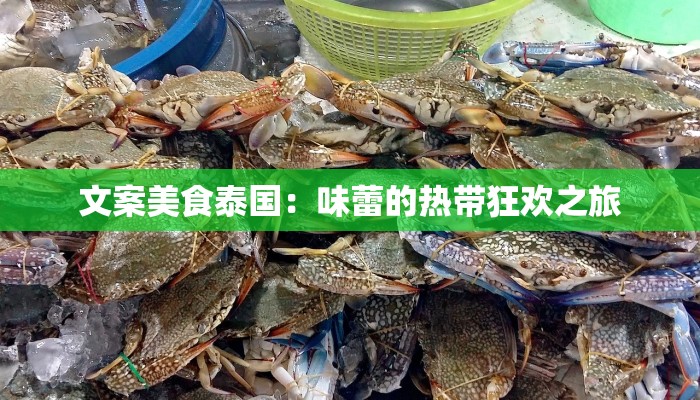 文案美食泰国：味蕾的热带狂欢之旅