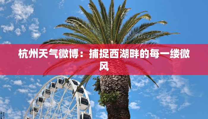 杭州天气微博:捕捉西湖畔的每一缕微风 杭州天气微博:捕捉西湖畔的每一缕微风