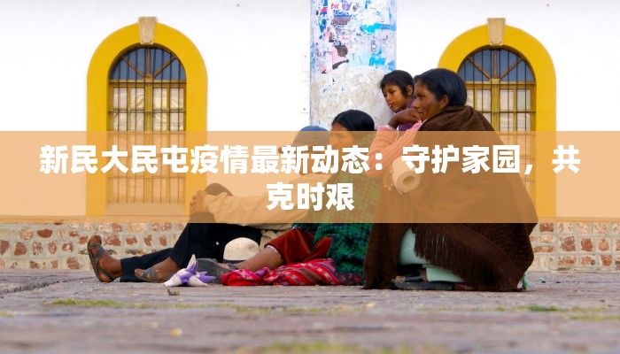 新民大民屯疫情最新动态：守护家园，共克时艰