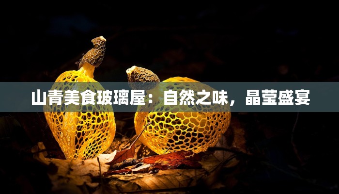 周口15天气预报