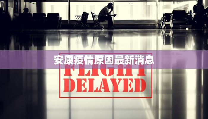 安康疫情原因最新消息