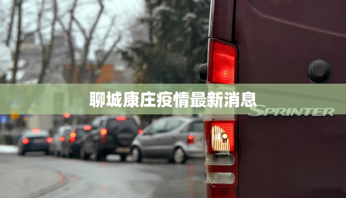 聊城康庄疫情最新消息