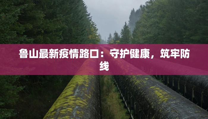 鲁山最新疫情路口：守护健康，筑牢防线