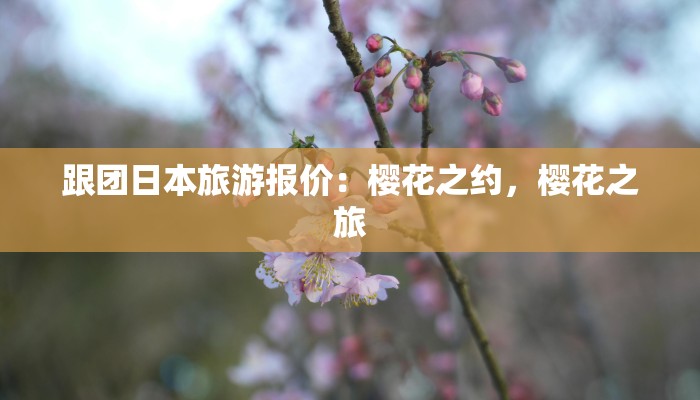 芜湖商业街美食推荐